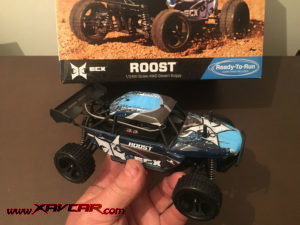 4WD Roost Desert Buggy