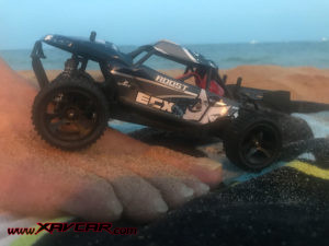 ECX Roost Desert Buggy