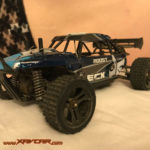 4WD Roost Desert Buggy