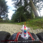 traxxas licorne